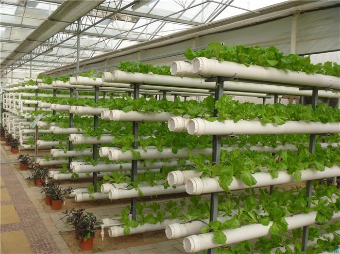 克拉玛依市鱼菜共生种植槽 - 厂家