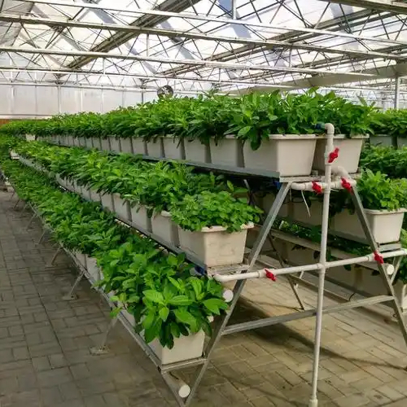 克拉玛依市植物工厂鱼菜共生 - 厂家