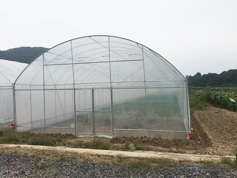 克拉玛依市薄膜大棚大棚 - 哪里好