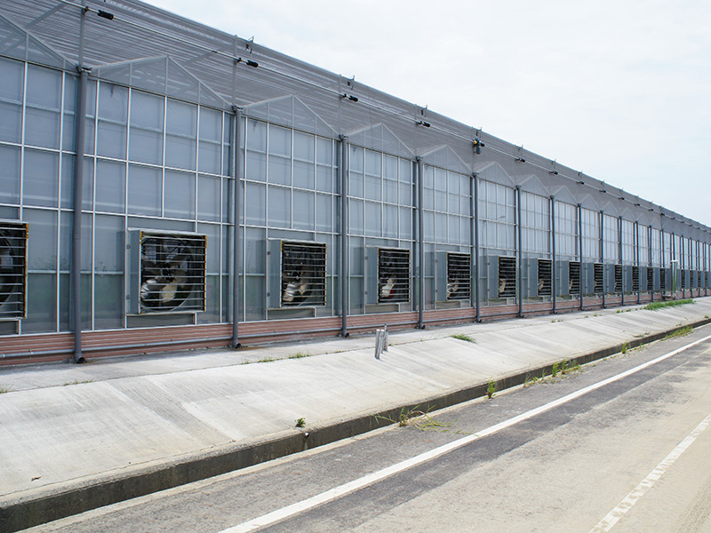 克拉玛依市玻璃大棚智慧农业 - 方案